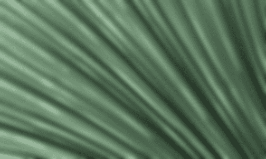 Health Minister: Indonesia's healthcare transformation needs an AI roadmap