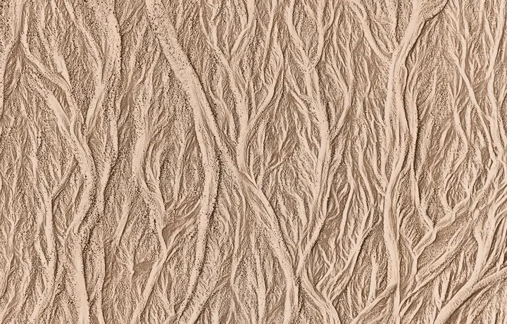 Rooted in knowledge.
Built for impact.